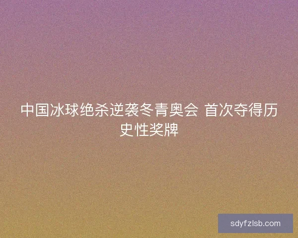 中国冰球绝杀逆袭冬青奥会 首次夺得历史性奖牌