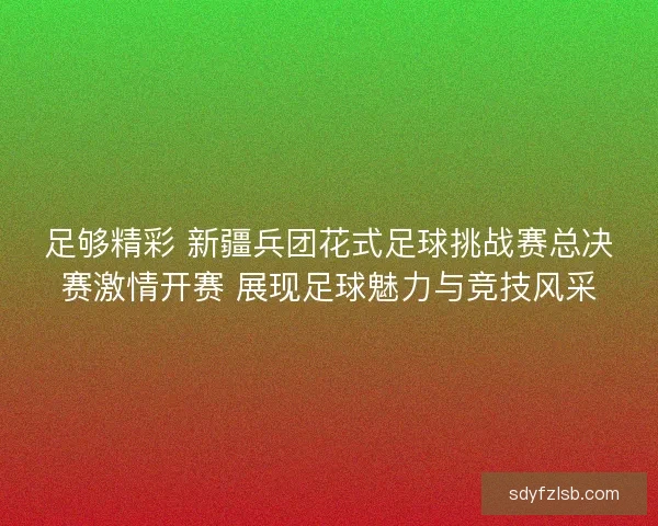 足够精彩 新疆兵团花式足球挑战赛总决赛激情开赛 展现足球魅力与竞技风采